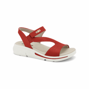 2368405-3 ROJO