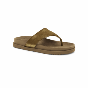 2453401-7 BRONCE