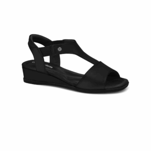 2470403-2 NEGRO