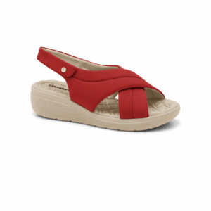 2486405-5 ROJO